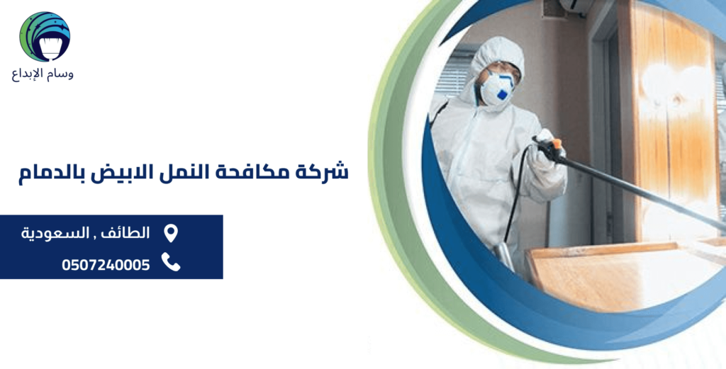 شركة مكافحة النمل الابيض بالدمام
